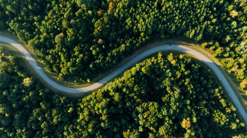 Aerial photo of a road winding through a green forest