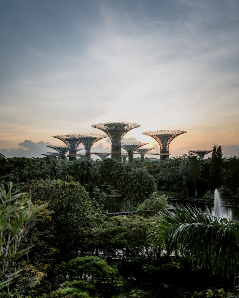 Photo of the Singapore Gardens by the Bay skyline