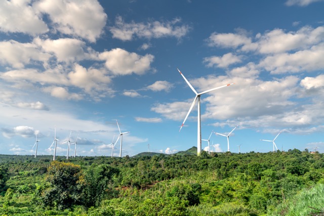 Photo of wind turbines in a green forested area
