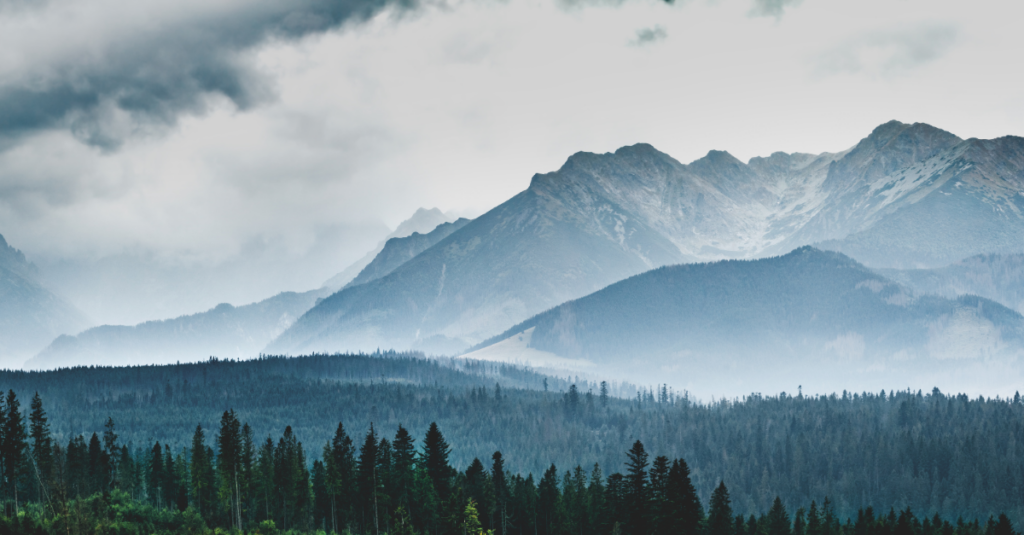 Photo of mountains in cloud; forest foreground