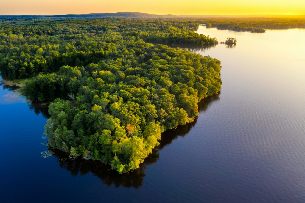 An aerial view at sunset of a forest